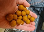 Spicy-Scopex-2.5Kg