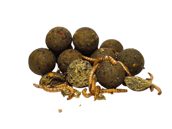 Spicy Insect 2,5Kg